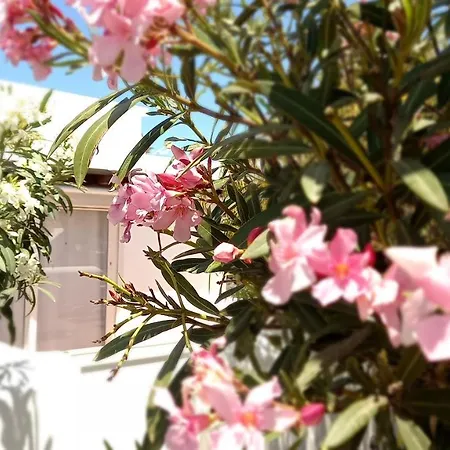 Appartamento Little Loft Playablanca