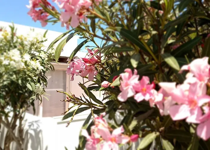 Appartement Little Loft Playablanca